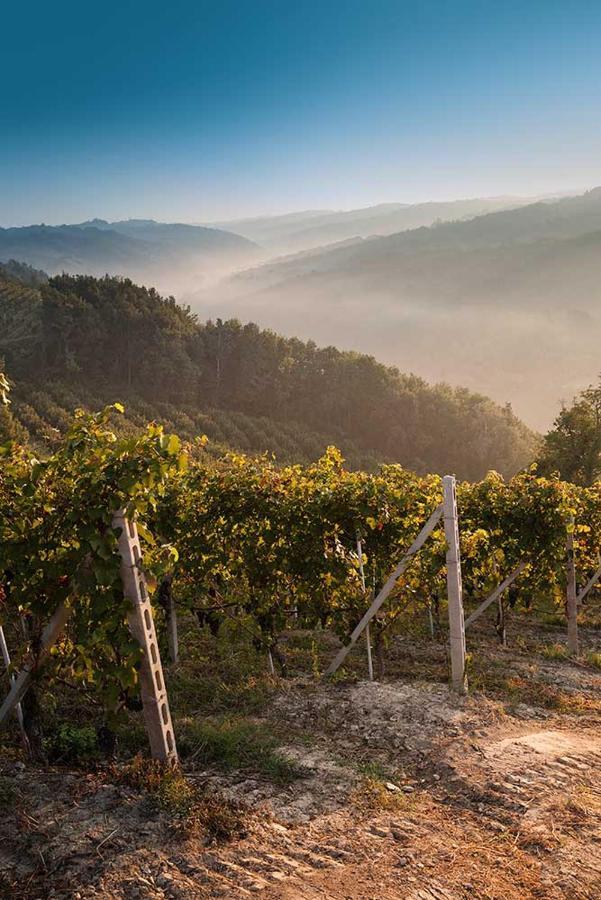 Antico Hospitale Bed and Breakfast Dogliani Εξωτερικό φωτογραφία